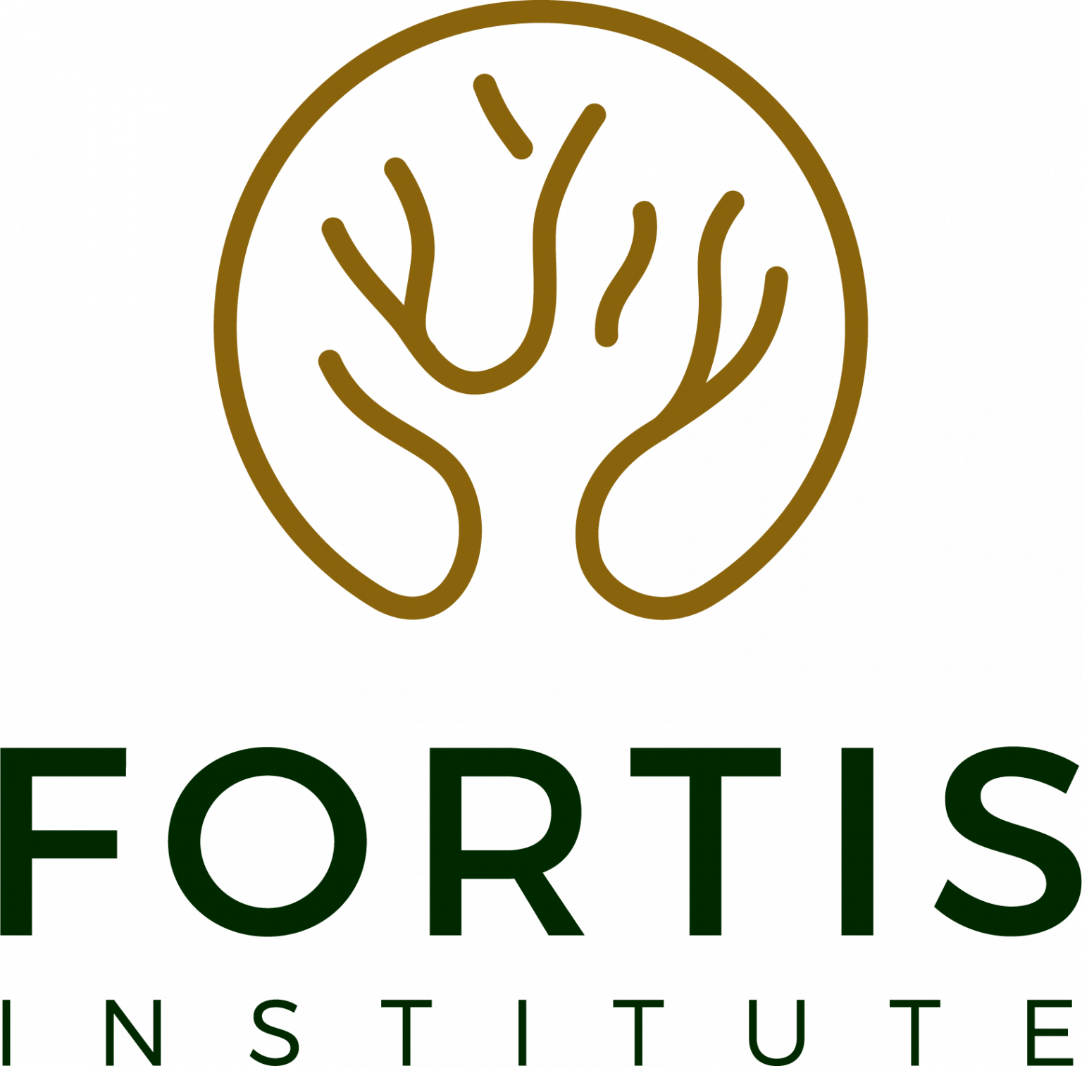 Fortis.Instructure - 3fh6u55