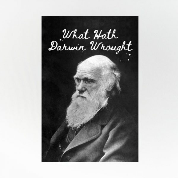 What Hath Darwin Wrought - Image 2