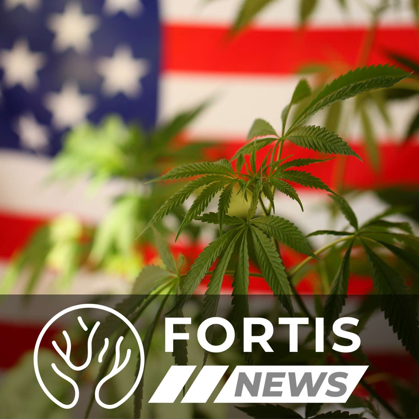 95% THC AND 35% EVANGELICAL READINESS