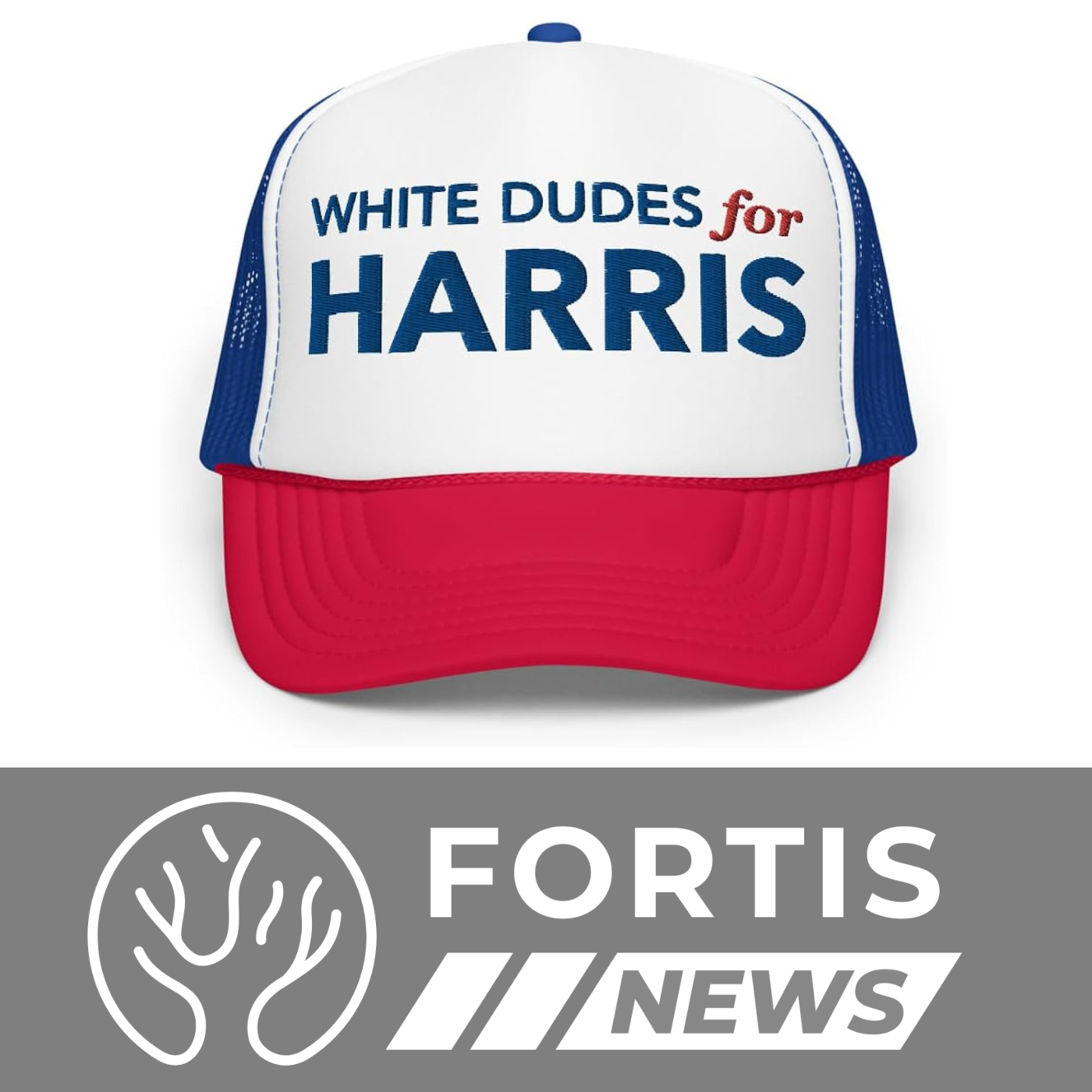 KAMALA’S WHITE DUDES AND CHRISTIAN NATIONALIST FLIGHT FIASCO: IS THIS 2024?