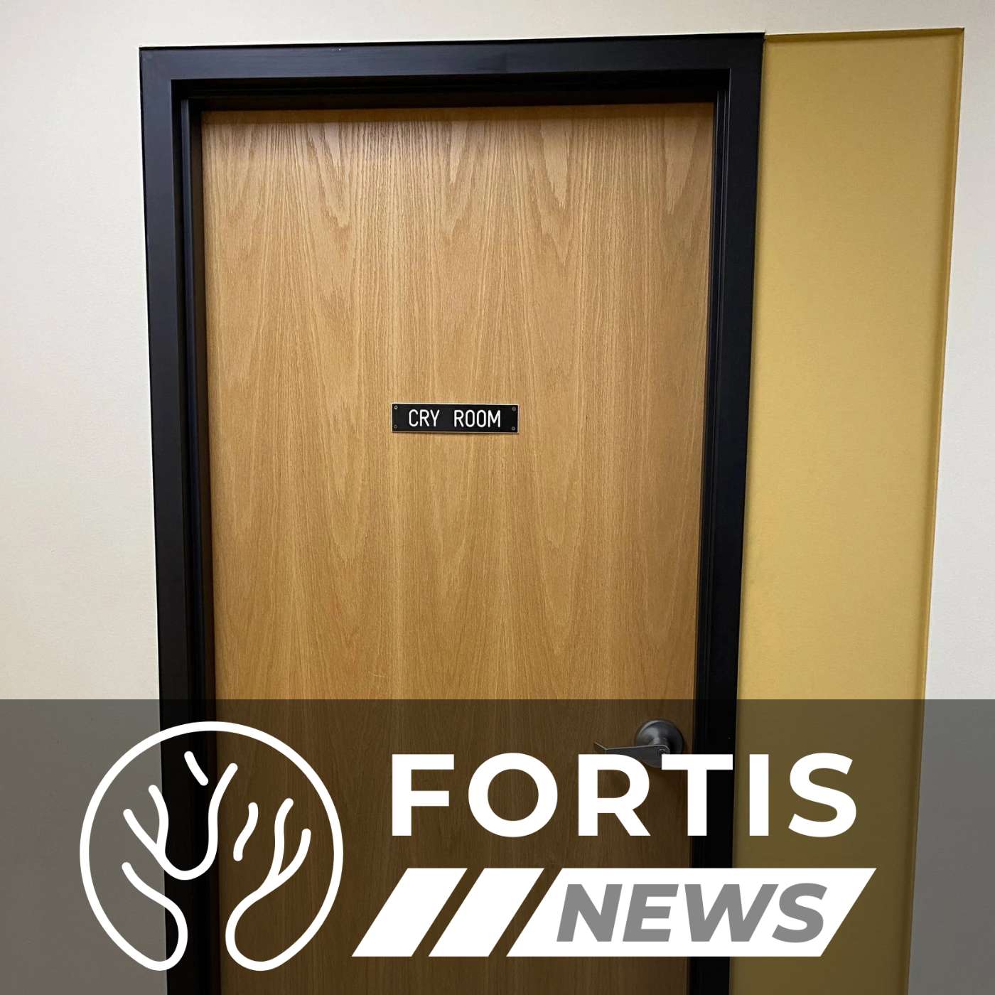 HOLLYWOOD BACKTRACKING & CRY ROOMS