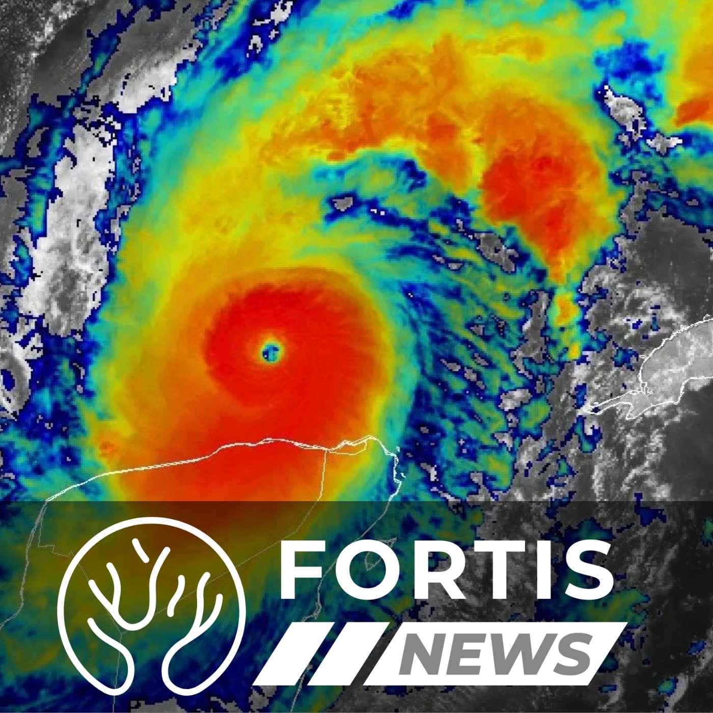 HURRICANE RECOVERY VS IMMIGRATION SPENDING