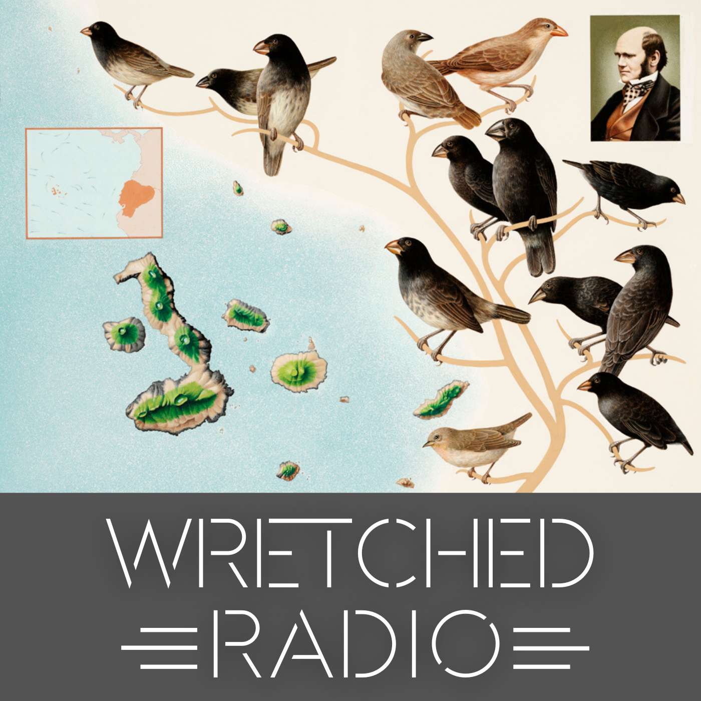 ARCHITECT OF THE UNIVERSE: CHANCE OR DESIGN?