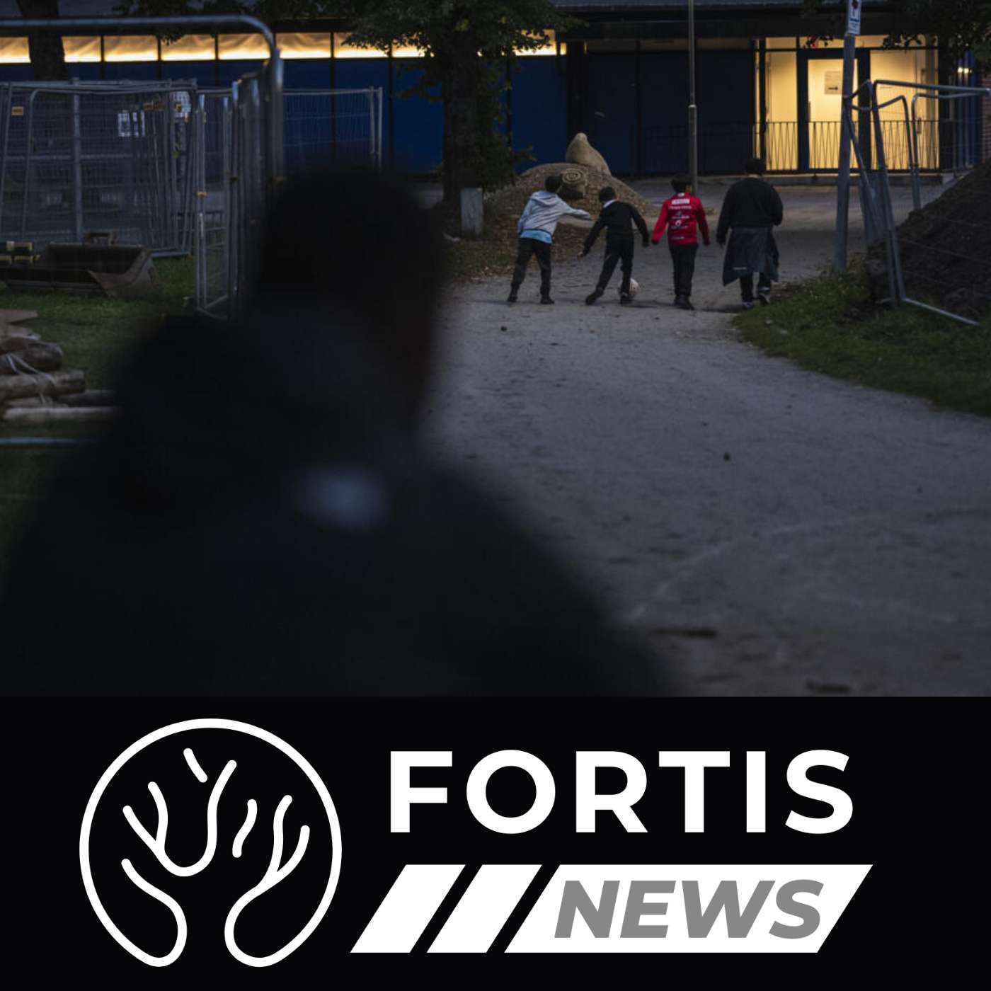 FROM SWEDISH GANG RECRUITMENT TO REAL ESTATE LICENSES