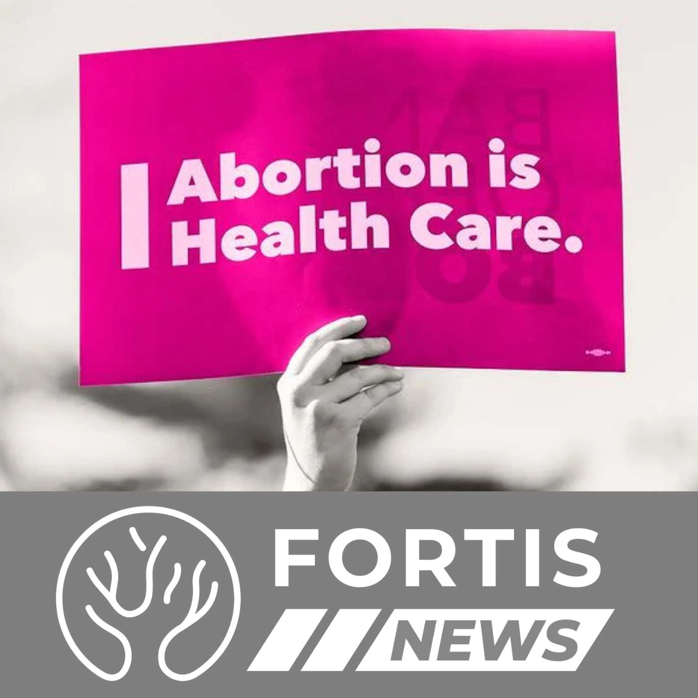 GLOBAL ABORTION STATISTICS & ZONDERVAN BIBLE CONTROVERSY