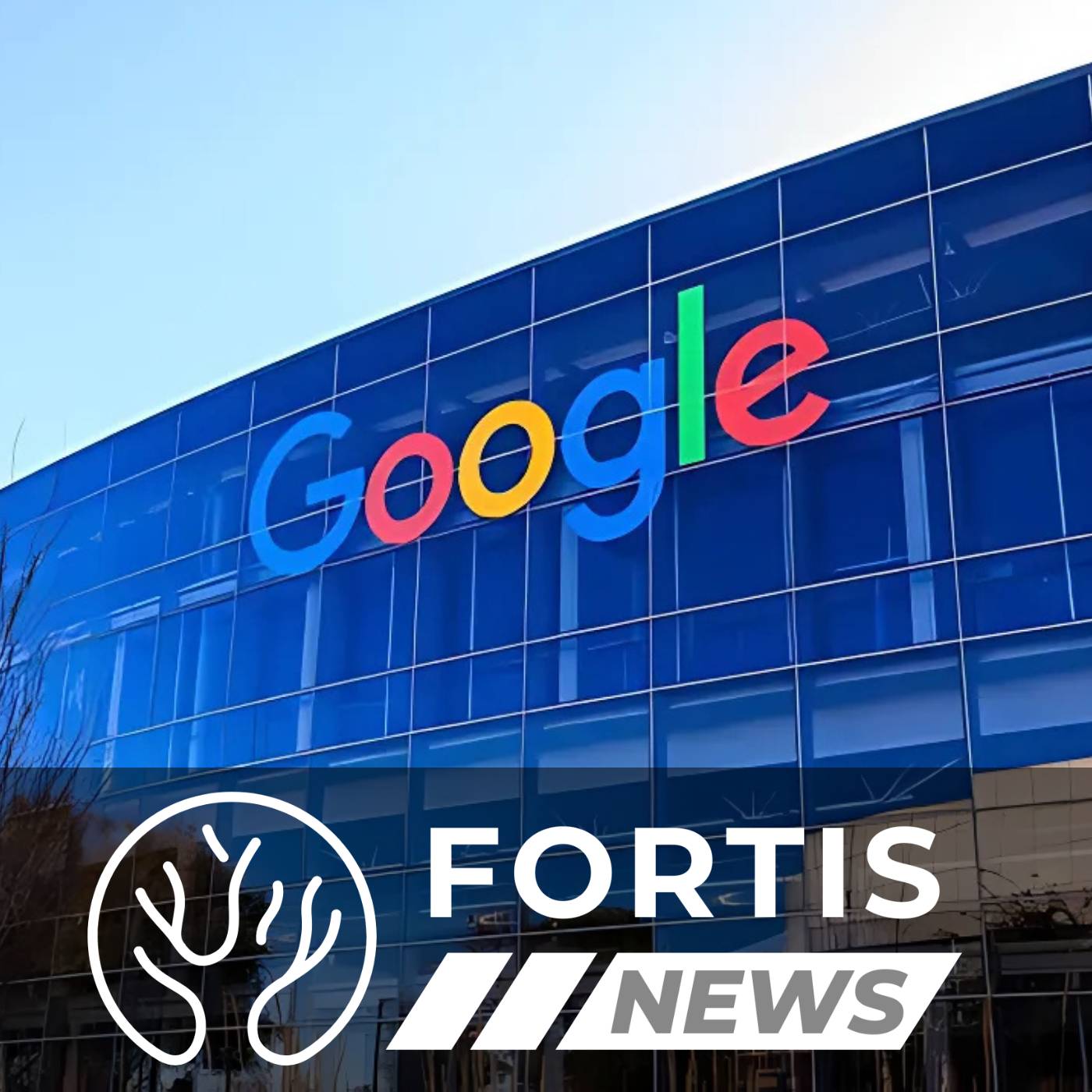 TEXAS SPORTS INVESTIGATION & GOOGLE ENDS DEI QUOTAS