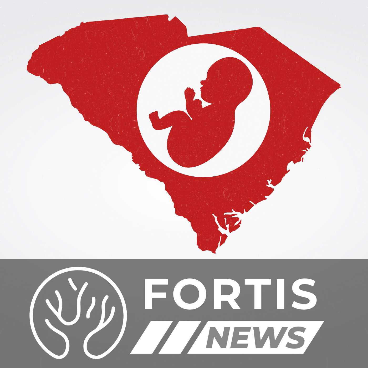 SOUTH CAROLINA PROTECTS UNBORN & CANADA ENDANGERS WOMEN INMATES