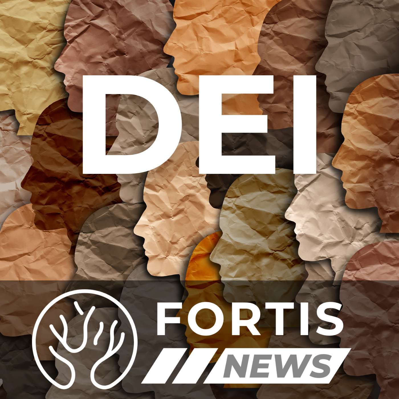 DEI REBRANDED AS “BELONGING”