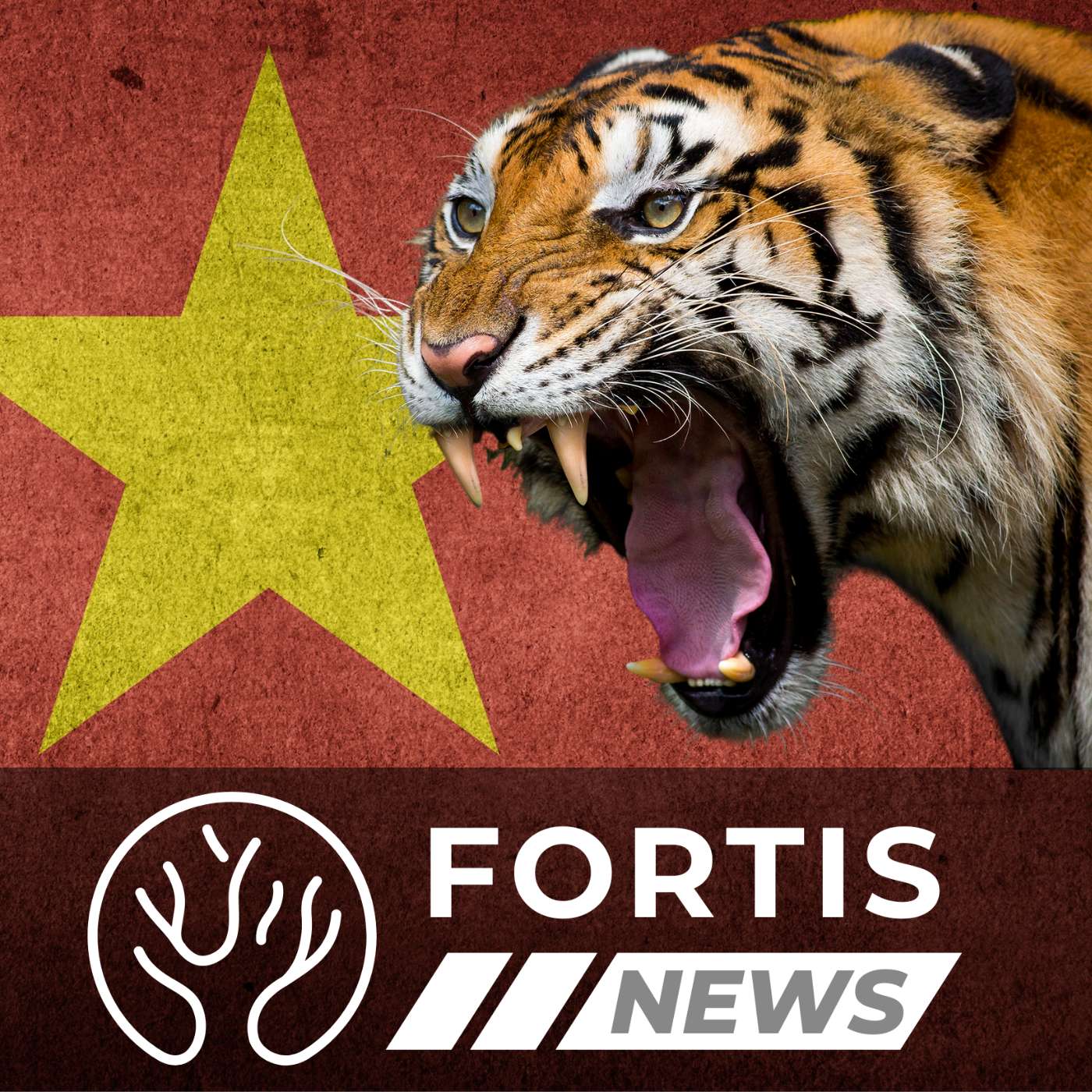 DEI GRANTS CUT BY COURT & TIGERS SEIZED FROM VETERAN