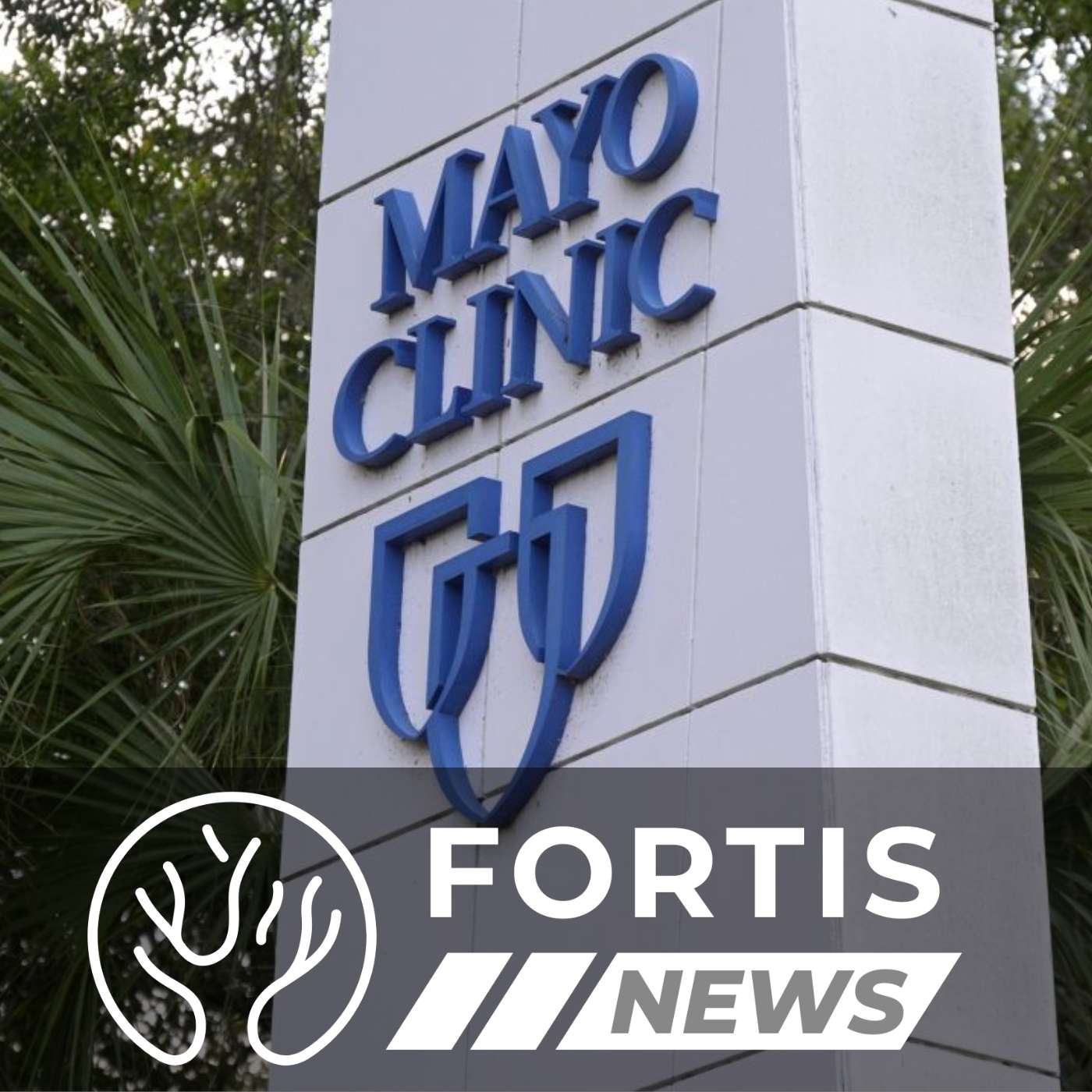 MAYO CLINIC MASKS DEI AGENDA