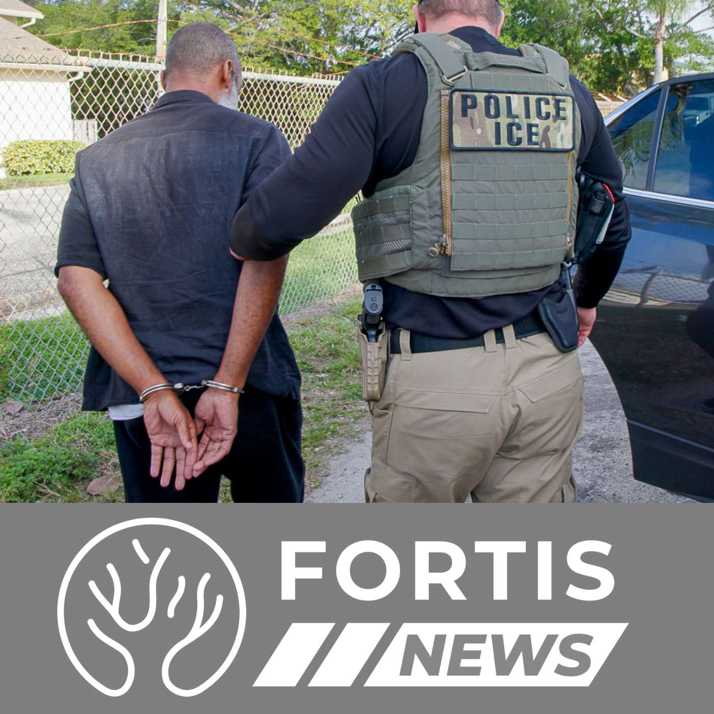 ICE RAIDS SUCCESS & PLAGIARIST RETURNS DIPLOMA