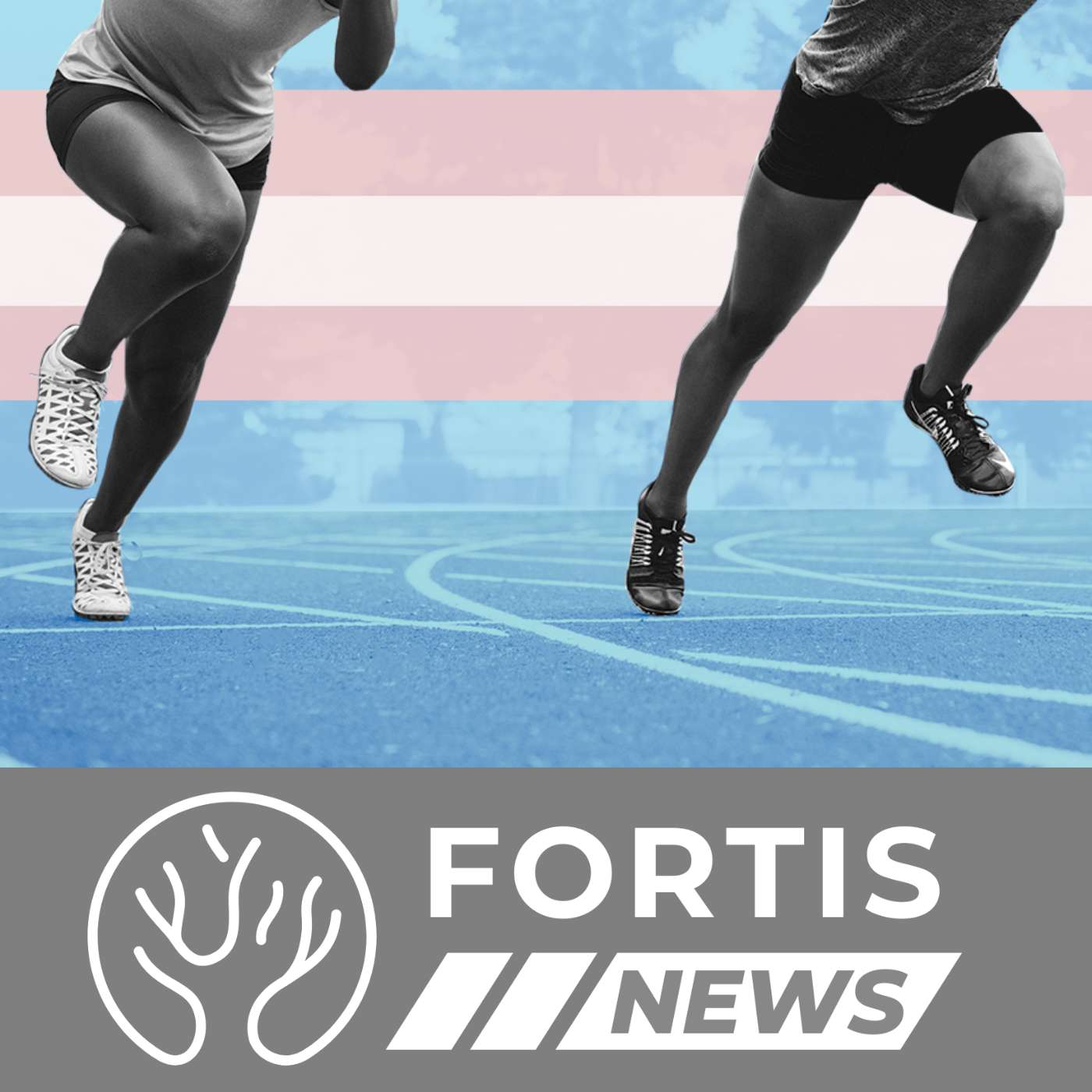 GIRLS FIGHT TRANS ATHLETES & STATE DEPT FIRES 1,500