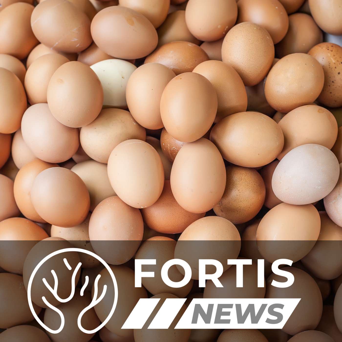 CALIFORNIA’S EGG TYRANNY ENDS & TRAIN TO NOWHERE DIES