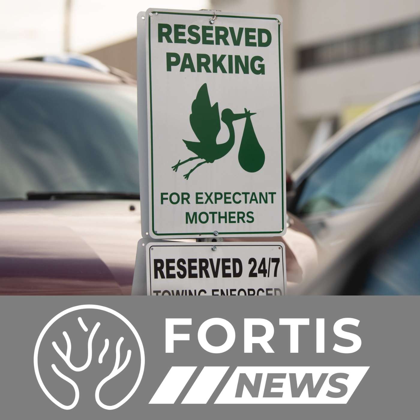 FLORIDA VALUES MOTHERHOOD & IRELAND EMBRACES DEATH