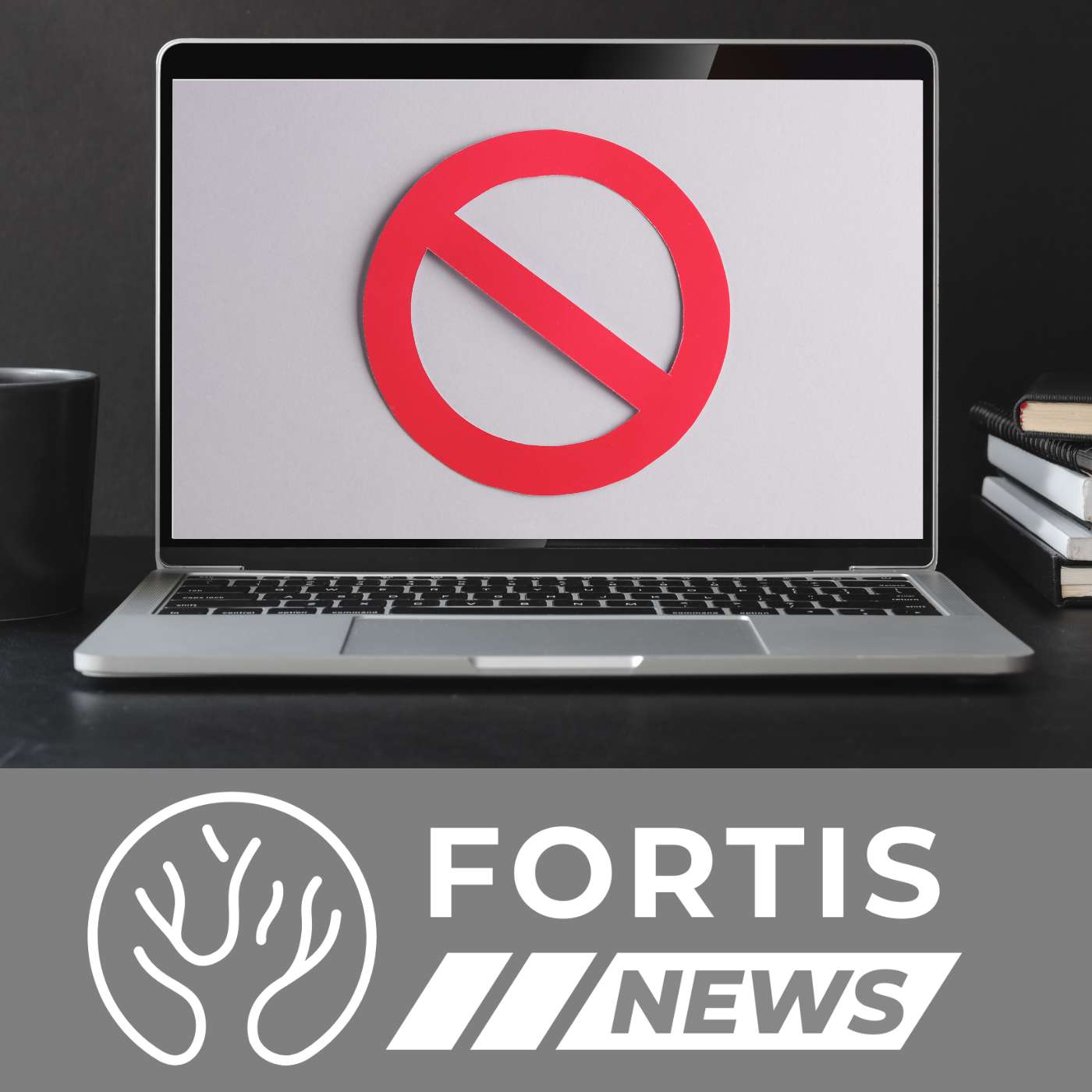 PORN RESTRICTIONS RISE & HARVARD SEEKS BALANCE