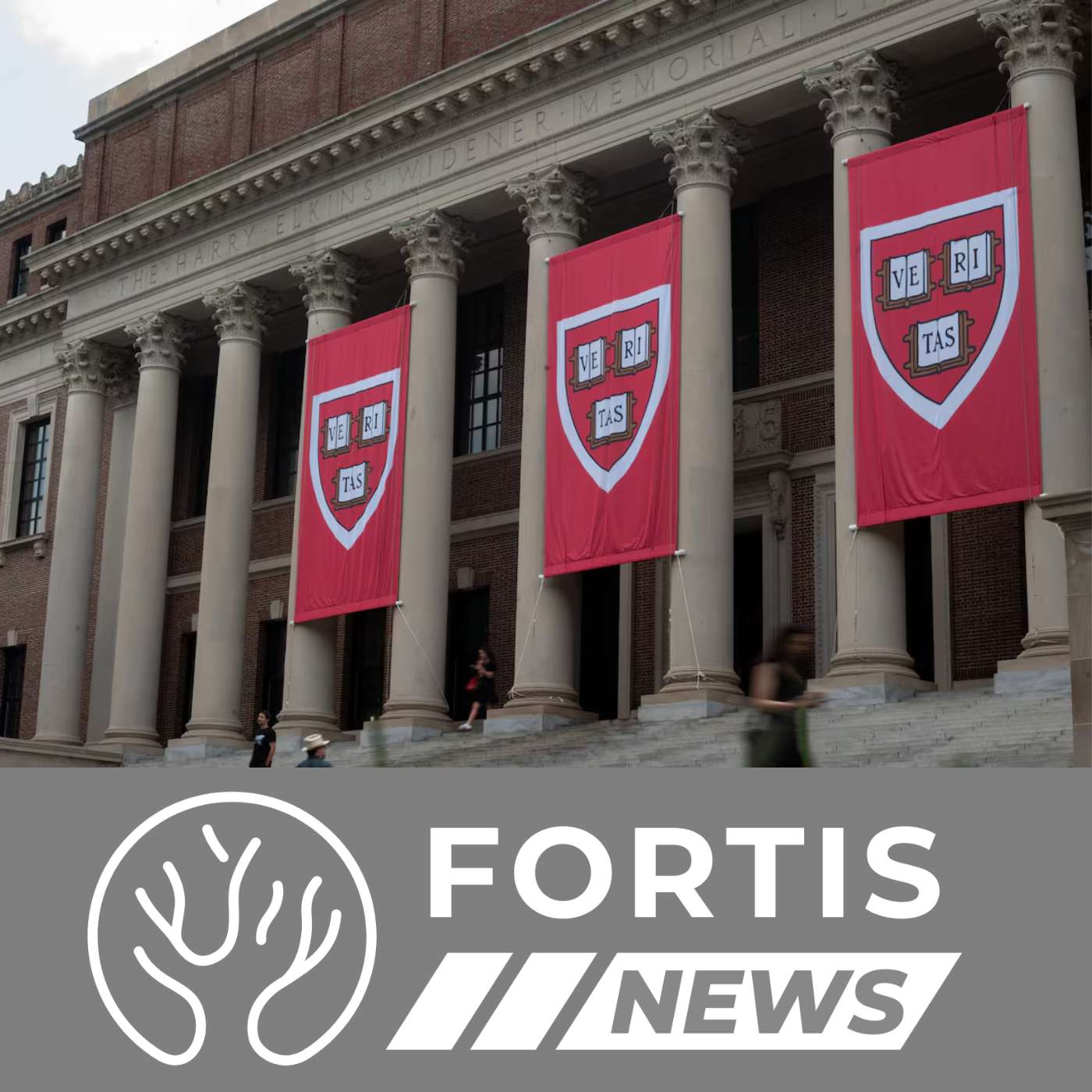 HARVARD PAYS ANTISEMITISM PRICE & CHILD PROTECTION BLOCKED