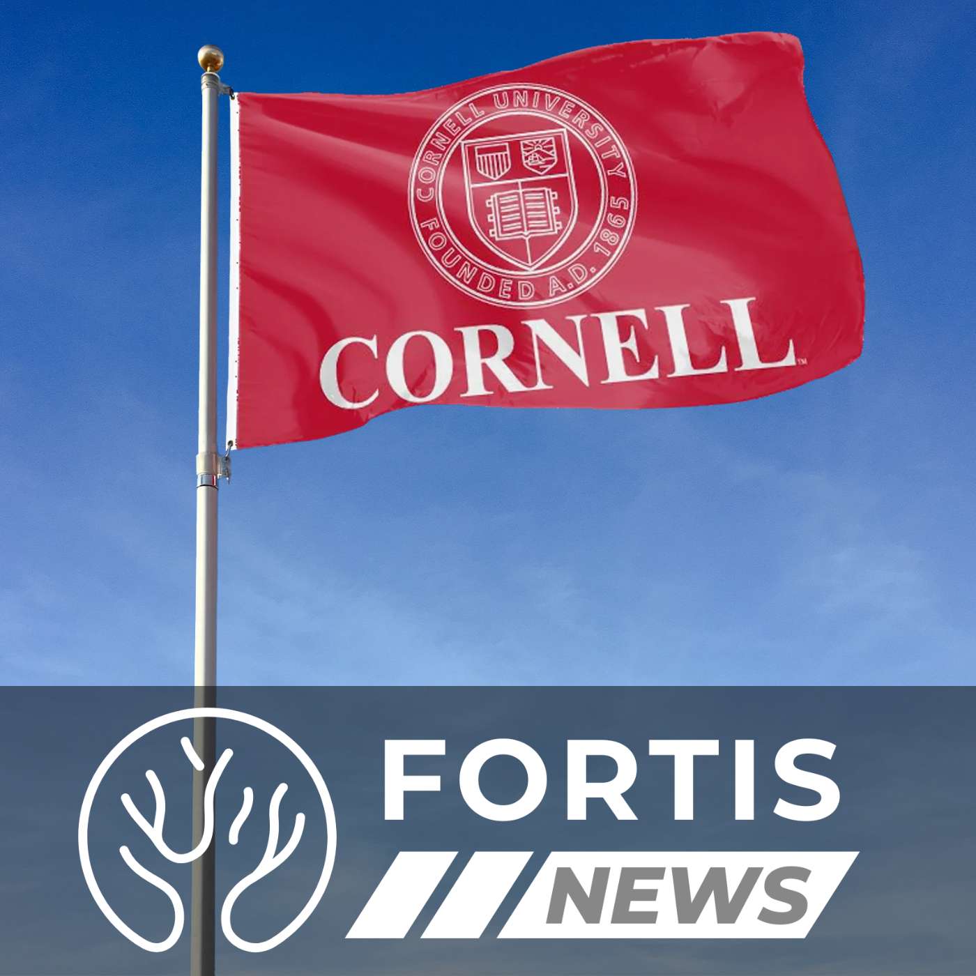 MERIT BANNED AT CORNELL & ILLEGALS GET MORTGAGES