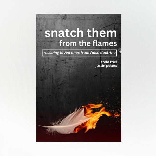 Snatch Them from the Flames - Image 2