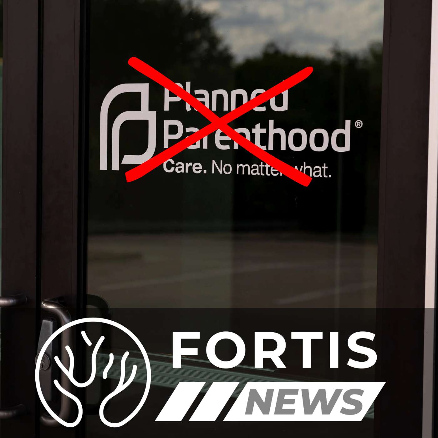 COURTS DEFEND UNBORN & JUDGES CODDLE RAPISTS