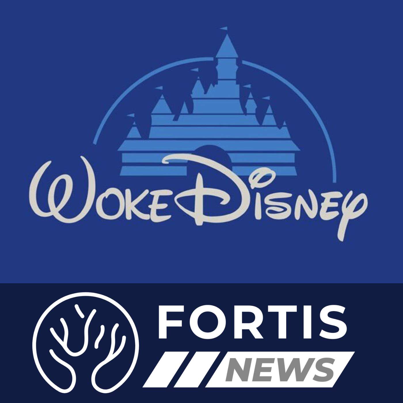 WOKE DISNEY BLEEDS MONEY & NOEM SLASHES GOVERNMENT WASTE