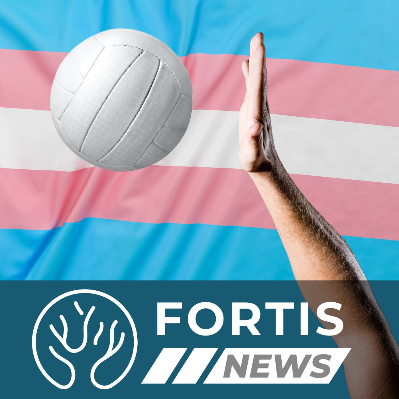 Volleyball Coach Sues Over Male Player & Justice’s Assassin Spared