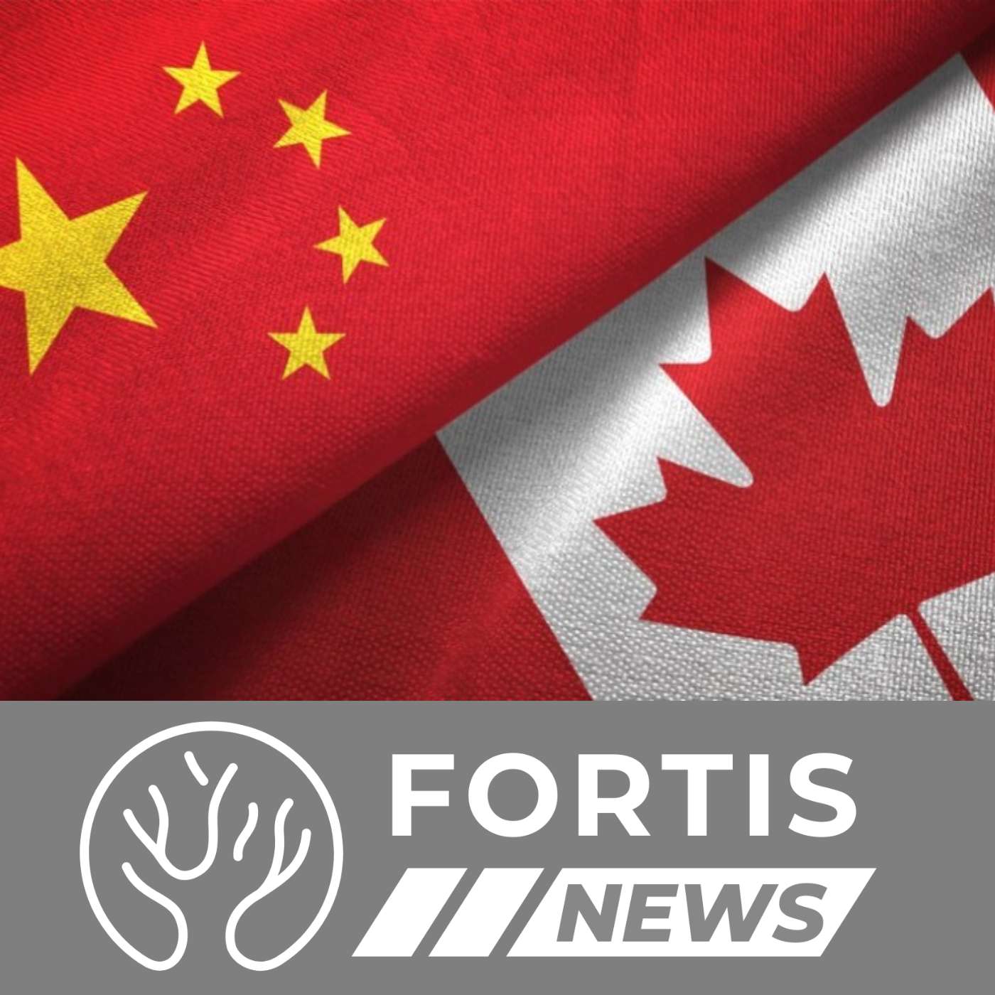 Canada Funds Communist China & Japan Speeds Population Collapse