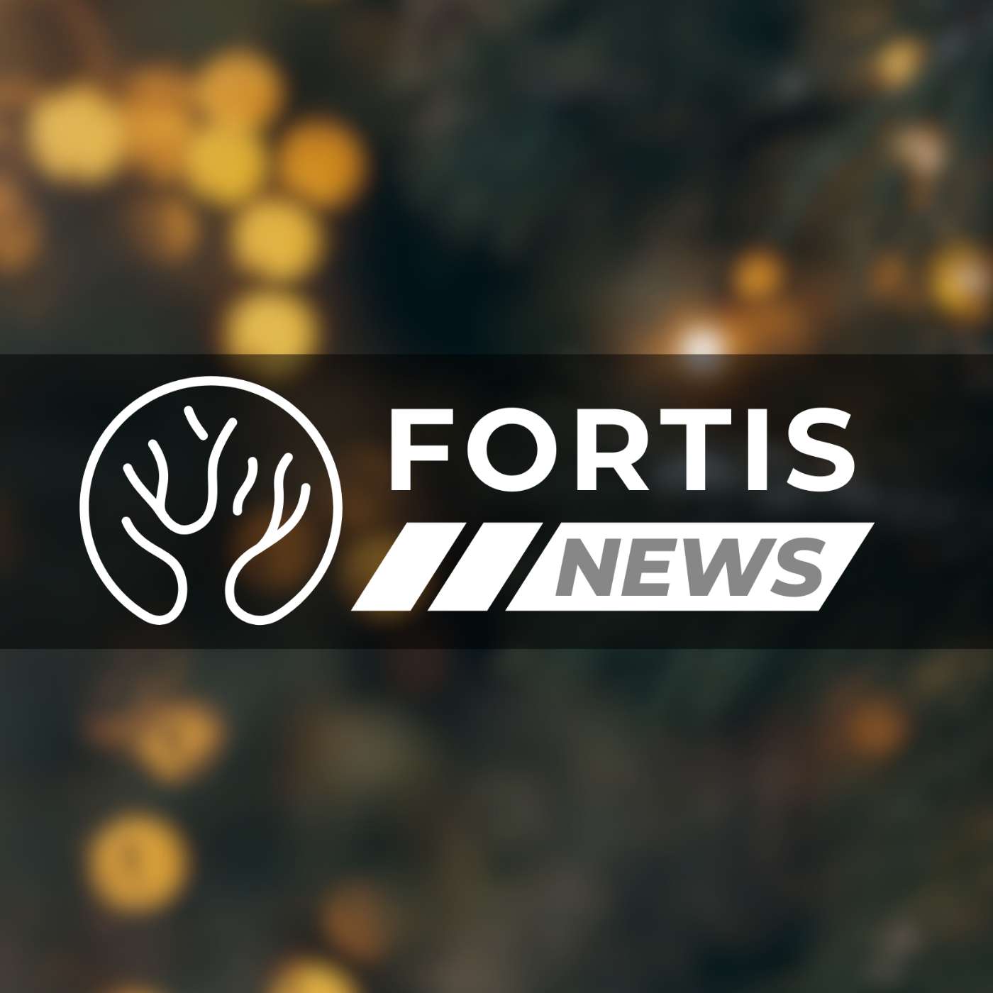 Fortis News 12-29-25