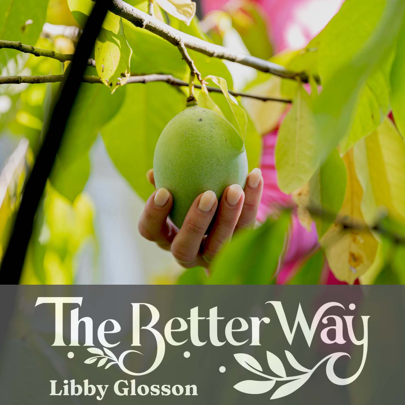 You Know The Truth—But Is Your Life Actually Bearing Fruit?