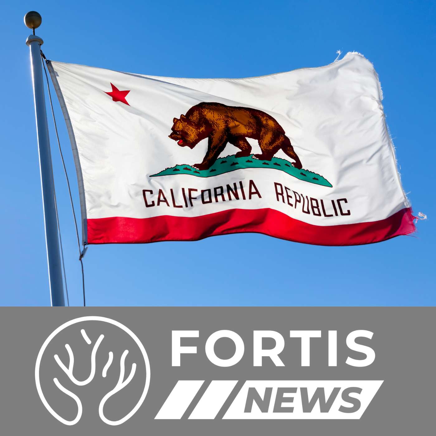 California Sues Over School Gender Policies & Alberta Stabbing Case Draws Outrage