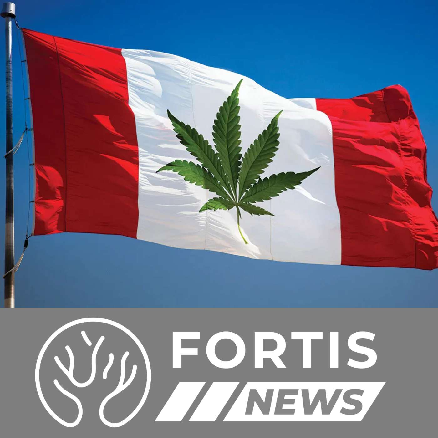 Canada’s Drug Experiment Kills & NYT Admits the Obvious