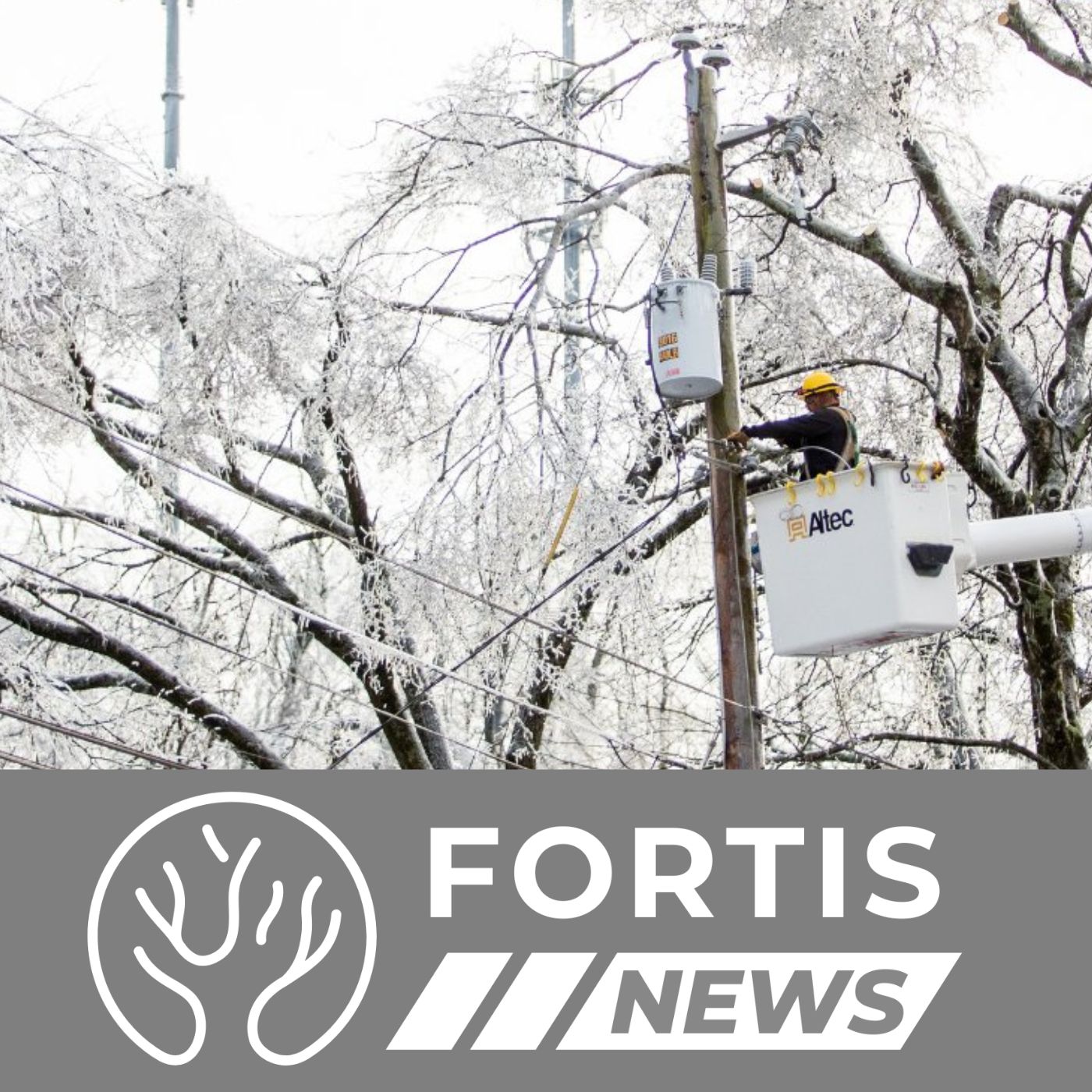 Federal Judge Denies ICE Injunction & Nashville Outages Continue