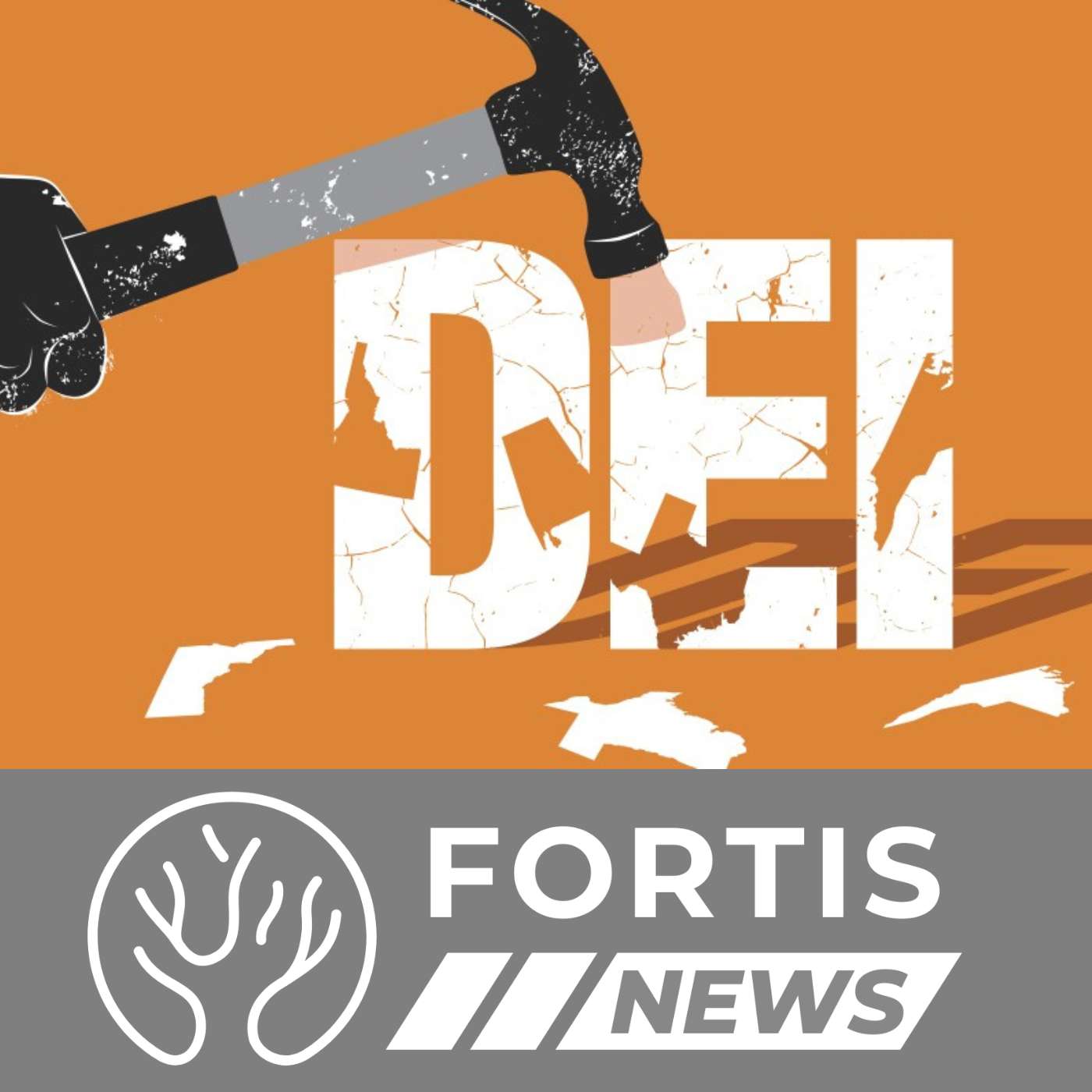 Defense Dumps DEI & Merit Makes Its Comeback