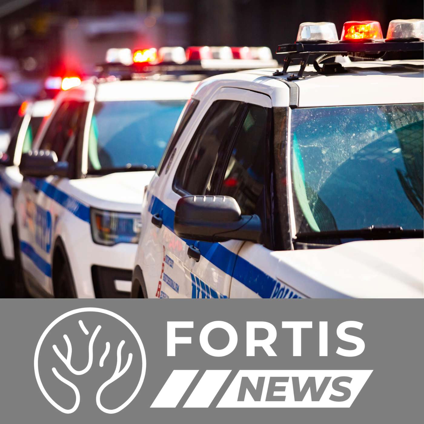 Five Squad Cars for a Sidewalk Sign & Jersey Welcomes Criminal Aliens