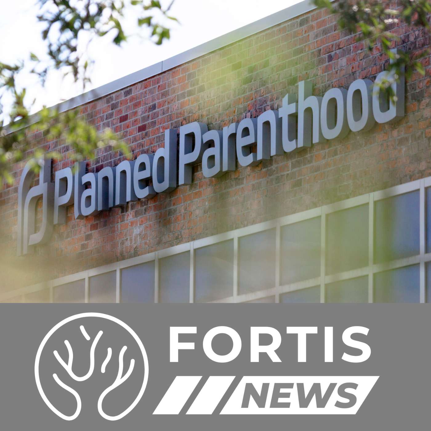 Abortion Giant Hemorrhaging Clinics & UN Relitigates Ancient History