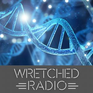DNA Origins, Narcissism Culture, The Search for Transcendence